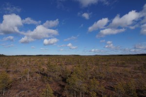 Maaliskuun suomaisemaa