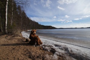 Nalle Karhu järven rannalla
