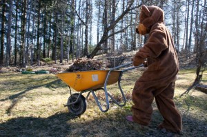 Hopi hopi roskat pois