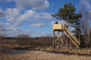 Lintutorni Lapinjärvi Hoho