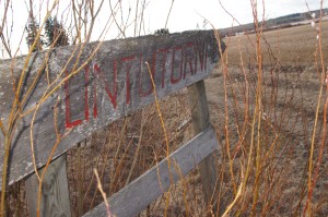 Kyltti lintutornille Lapinjärjellä Hohossa