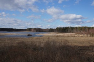 Näkymää Lapinjärven lintutornista