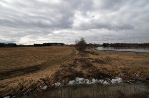 Näkymää Vuonteen lintutornista