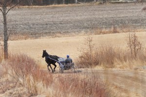 Ratsukko Vuonteen maalaistiellä