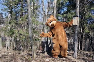 Vapaa huoneisto pikkulintuperheelle