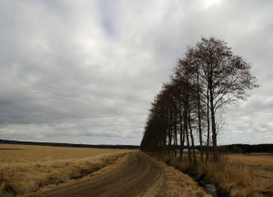 Kaunista maalaismaisemaa Vuonteella