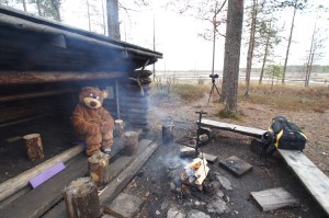 Evästauko Teretin laavulla