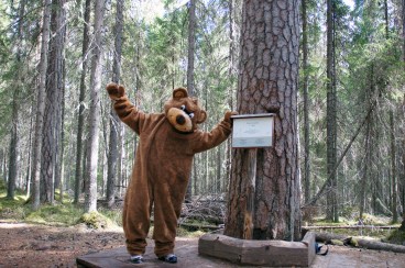 Nalle Karhu ja Uusi Iso Puu