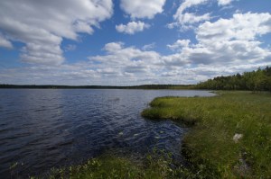 Heikinjärven rantaa
