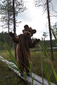 Nalle Karhu pitkospuilla Soimalammella