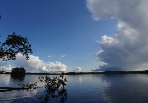 Rutajärvi Lintuniemi